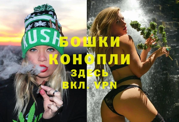 молекула духа Белокуриха
