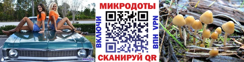Галлюциногенные грибы Psilocybe  Зеленогорск 